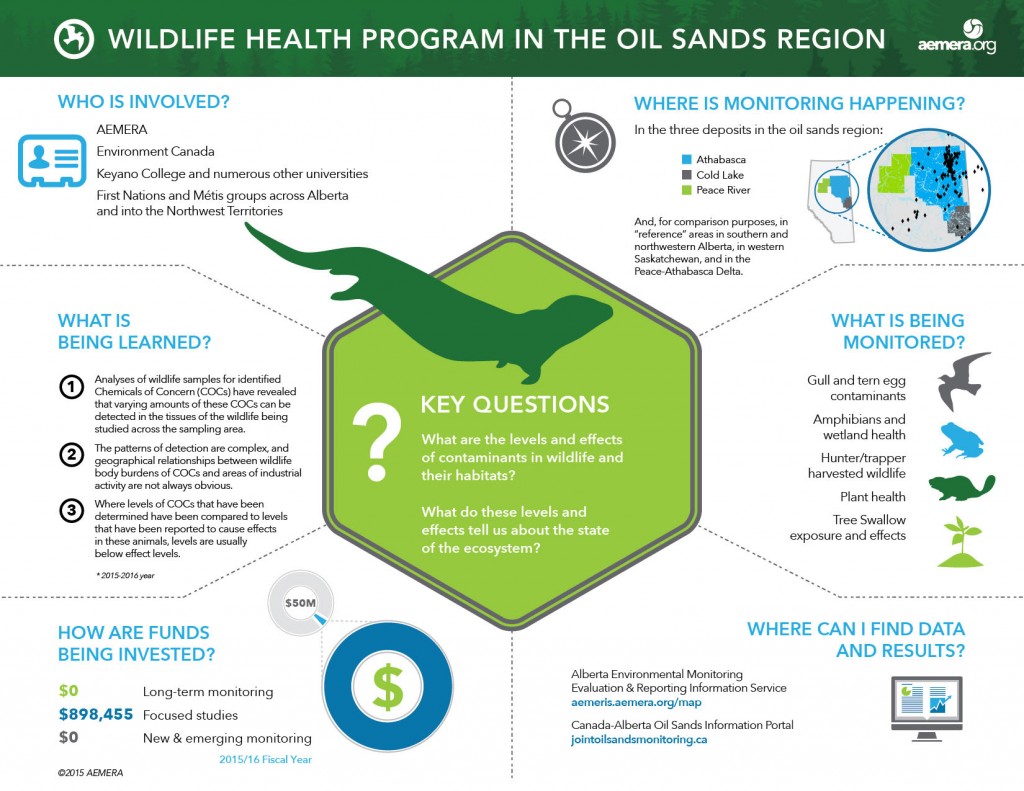 Wildlife Health Program in the Oil Sands Region