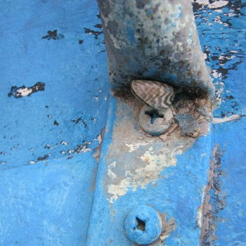 Mussel stowaway on a boat stopped and inspected coming into Alberta